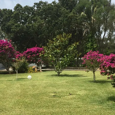 招待所 Sa Legitima 休达德亚